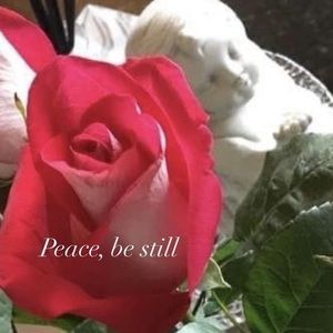 Meet your Posher, Pam